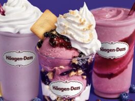 Häagen-Dazs Summer Blueberry Oat Milk Dessert